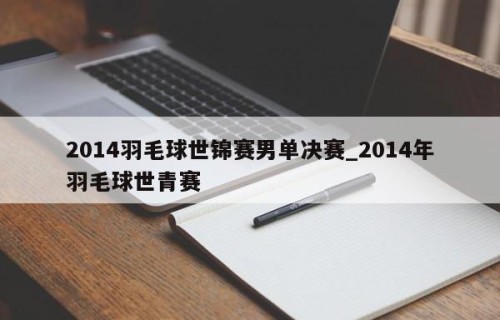 2014羽毛球世锦赛男单决赛_2014年羽毛球世青赛