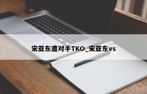 宋亚东遭对手TKO_宋亚东vs