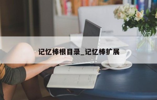 记忆棒根目录_记忆棒扩展