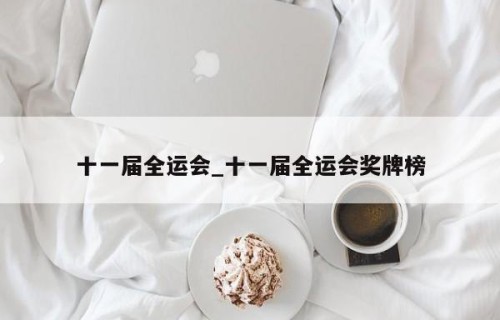 十一届全运会_十一届全运会奖牌榜