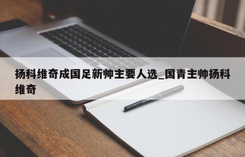 扬科维奇成国足新帅主要人选_国青主帅扬科维奇