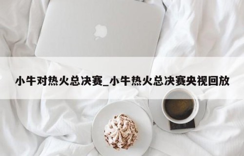 小牛对热火总决赛_小牛热火总决赛央视回放