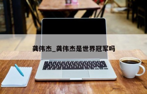 龚伟杰_龚伟杰是世界冠军吗