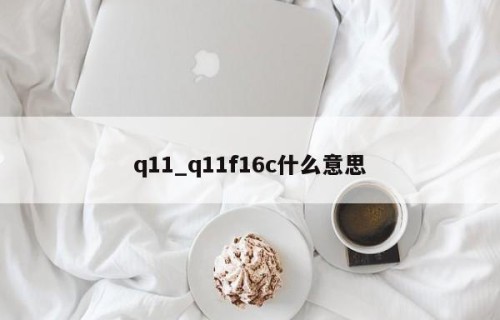q11_q11f16c什么意思