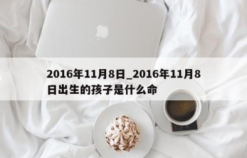2016年11月8日_2016年11月8日出生的孩子是什么命