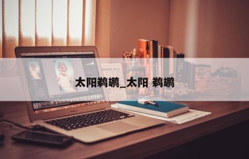 太阳鹈鹕_太阳 鹈鹕