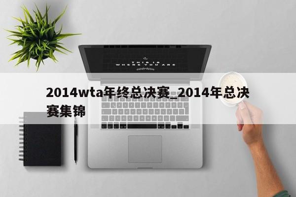 2014wta年终总决赛_2014年总决赛集锦