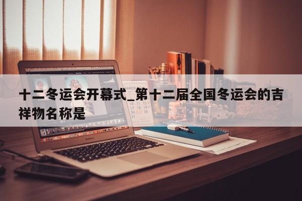 十二冬运会开幕式_第十二届全国冬运会的吉祥物名称是