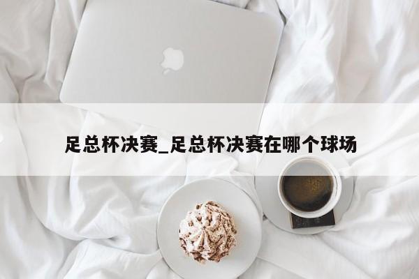 足总杯决赛_足总杯决赛在哪个球场