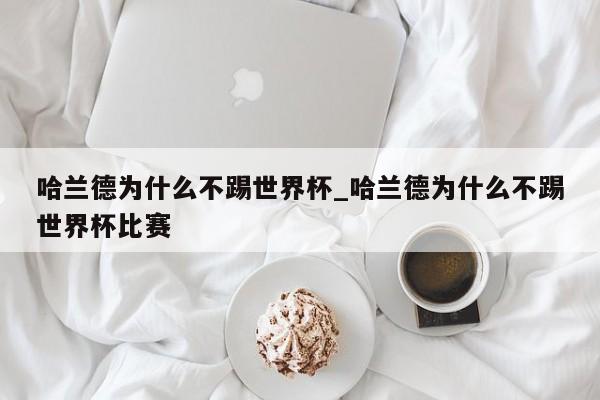 哈兰德为什么不踢世界杯_哈兰德为什么不踢世界杯比赛